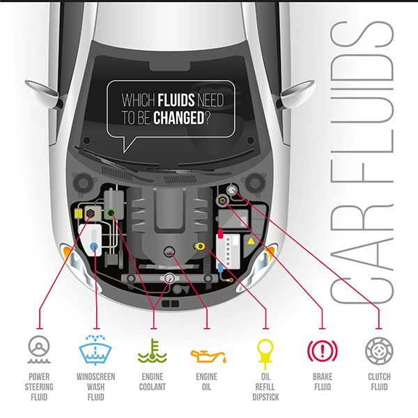 Is Fluid Condition More Important Than Fluid Level?